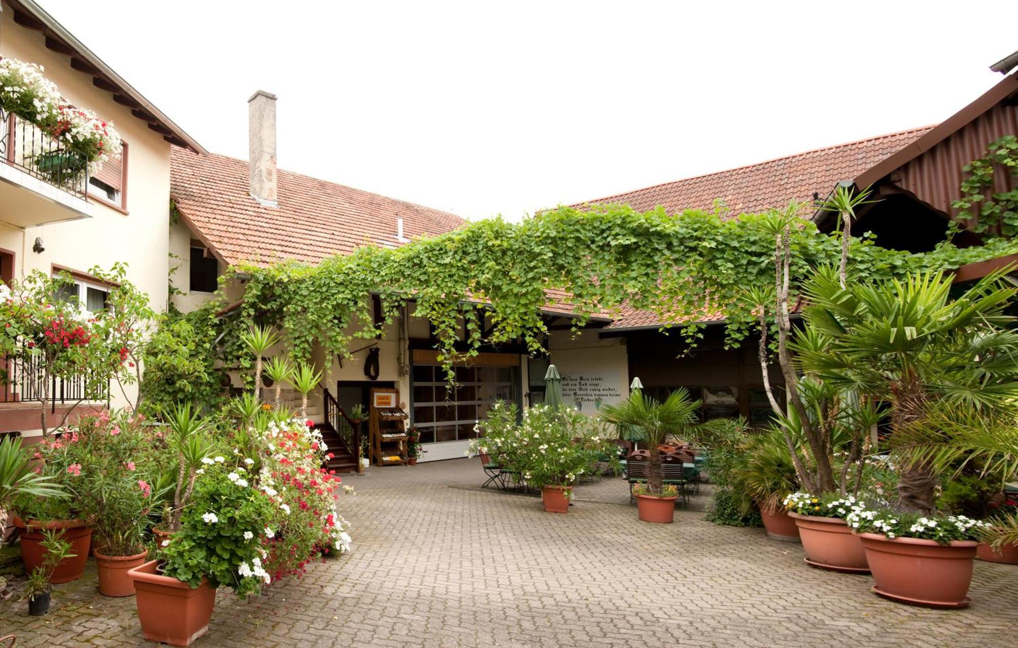 Weingut Und Gaestehaus Vongerichten Oberhausen  Esterno foto